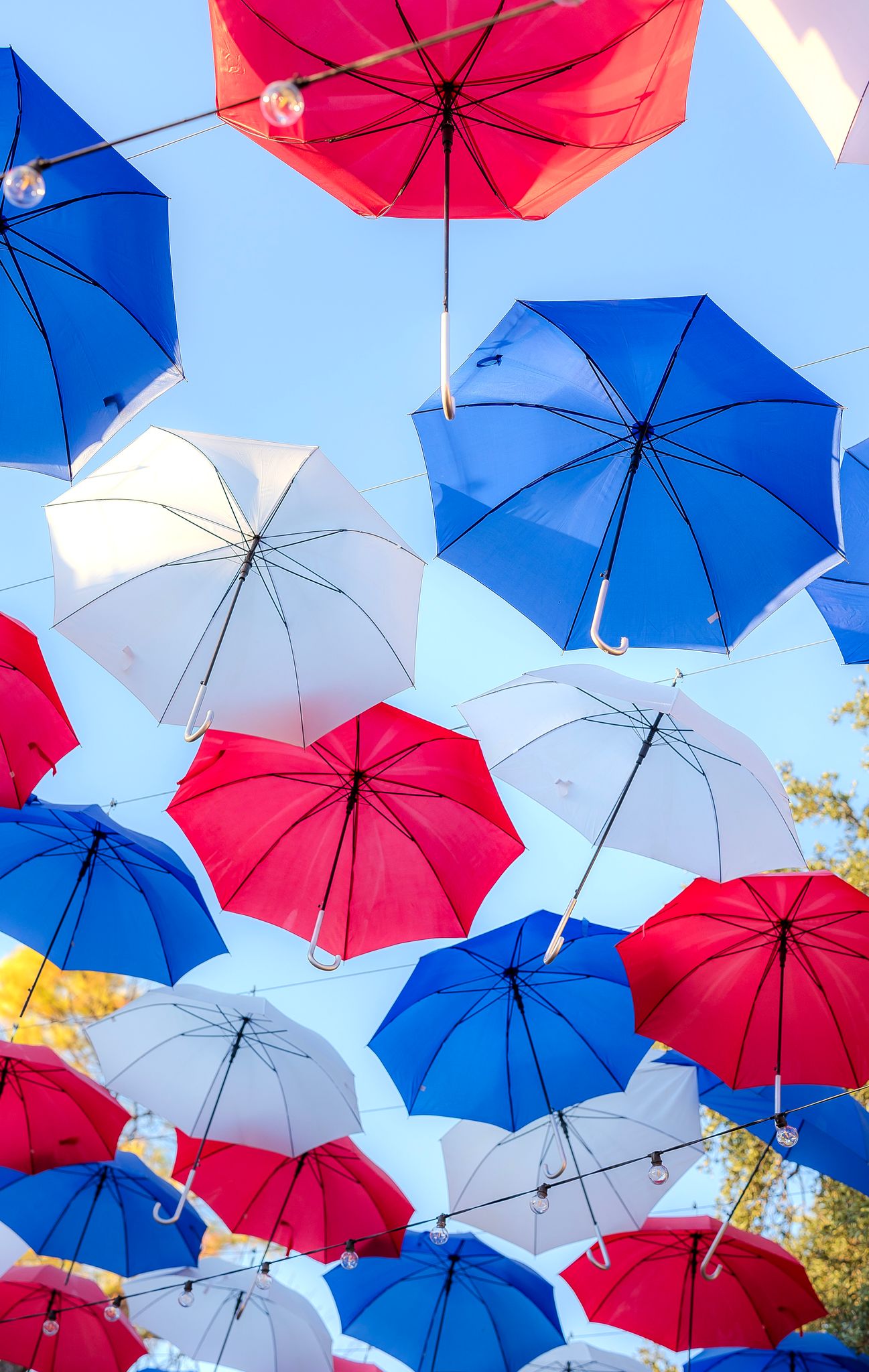 Umbrellas help shade visitors at the State Fair of Texas