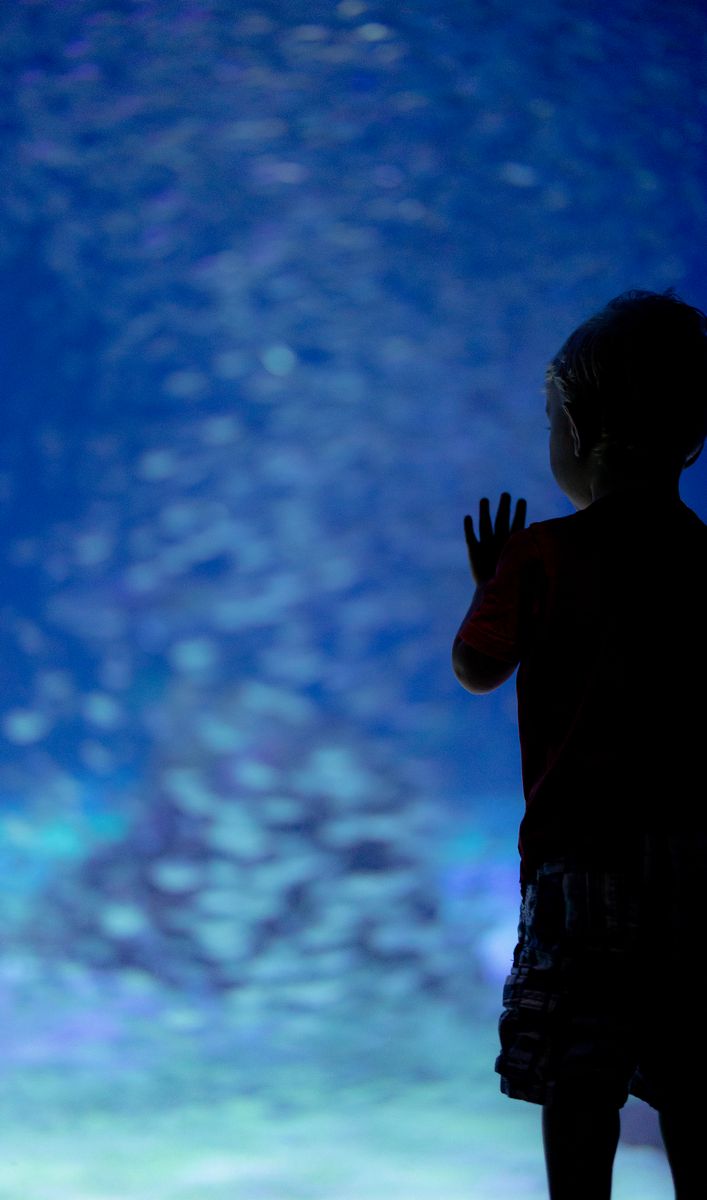 A boy looks through the glass toward a shark exhibit at the Georgia Aquarium